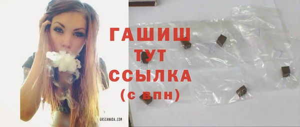 молекула духа Вяземский