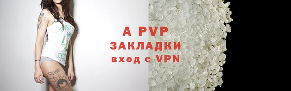 молекула духа Вяземский