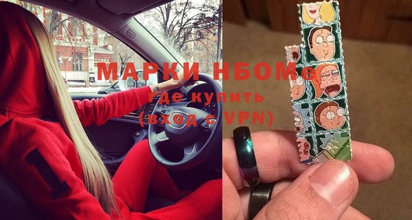 прущие грибы Иннополис