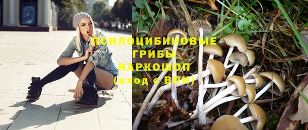 шишки Верхнеуральск