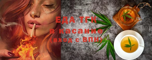 молекула духа Вяземский