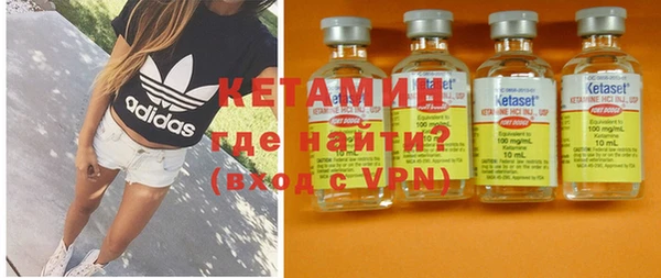 молекула духа Вяземский