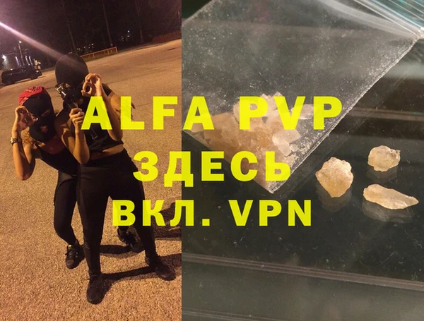 молекула духа Вяземский